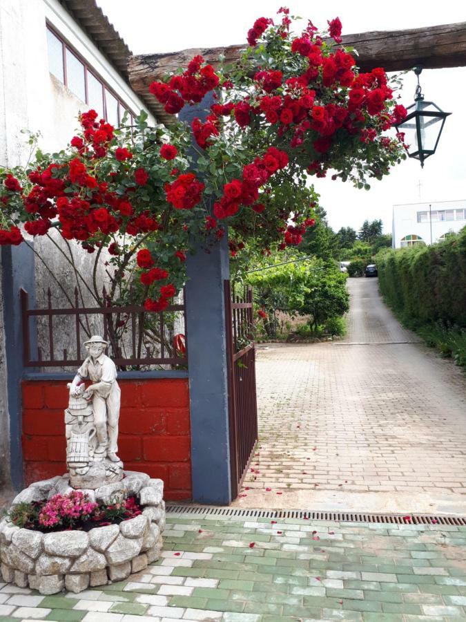 Quintinha Dos Cedros Villa Alfândega da Fé Eksteriør billede