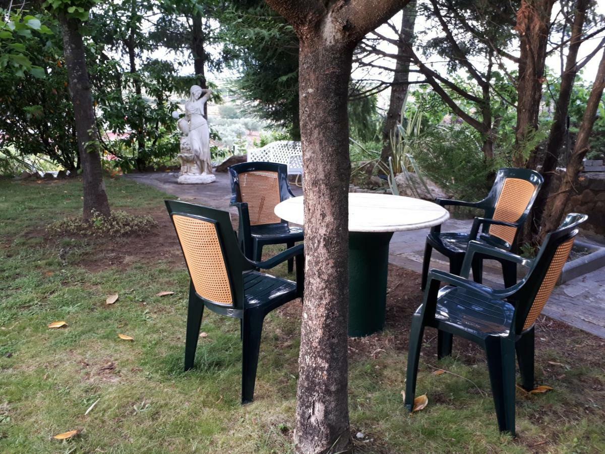 Quintinha Dos Cedros Villa Alfândega da Fé Eksteriør billede