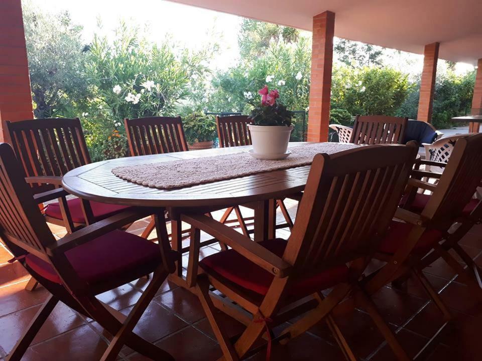 Quintinha Dos Cedros Villa Alfândega da Fé Eksteriør billede